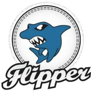 logo flipper