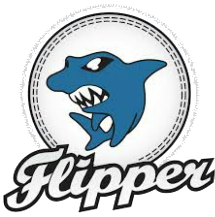 logo flipper