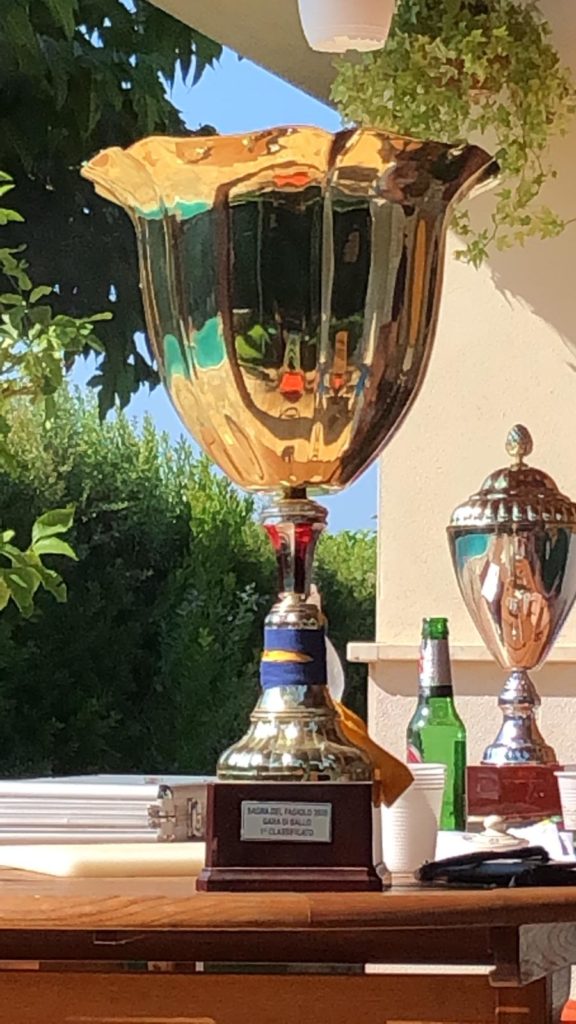 coppe 2019