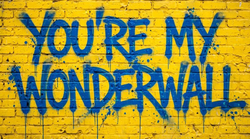 You’re My Wonderwall: Campagna Abbonamenti Boca Wailers 26-27